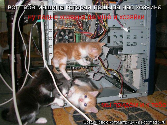 Котоматрица: вот тебе машина которая лешыла нас хозяина  ну ладно хозяина да ишё и хозяйки мы придём и к тебе
