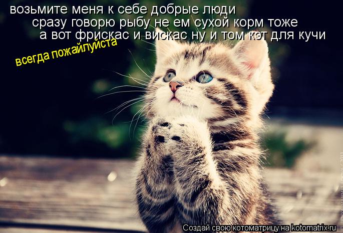 Котоматрица: возьмите меня к себе добрые люди  сразу говорю рыбу не ем сухой корм тоже  а вот фрискас и вискас ну и том кэт для кучи  всегда пожайлуйста  вс