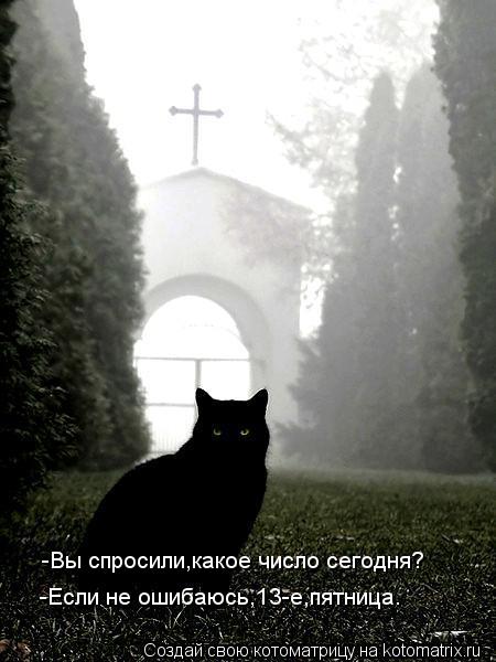Котоматрица: -Вы спросили,какое число сегодня? -Если не ошибаюсь,13-е,пятница.