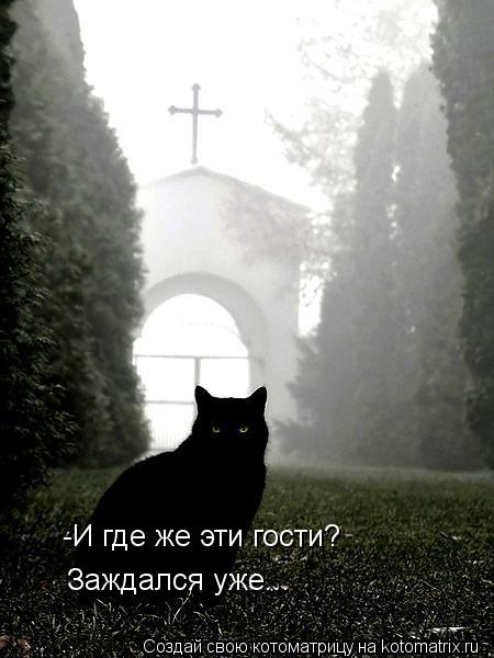 Котоматрица: -И где же эти гости? Заждался уже...