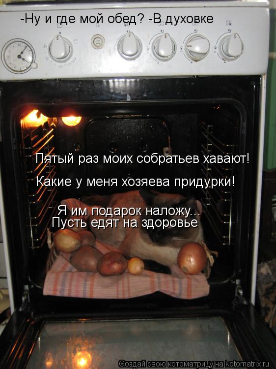 Котоматрица: Какие у меня хозяева придурки! Пятый раз моих собратьев хавают! Я им подарок наложу...  -Ну и где мой обед? -В духовке Пусть едят на здоровье