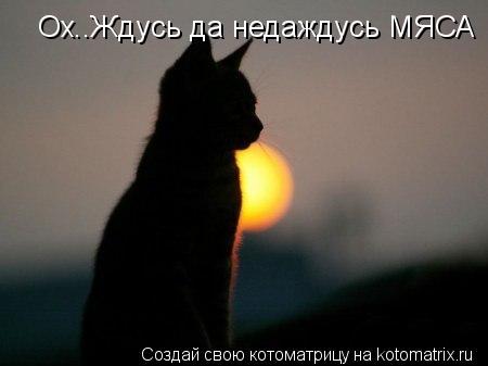 Котоматрица: Ох..Ждусь да недаждусь МЯСА