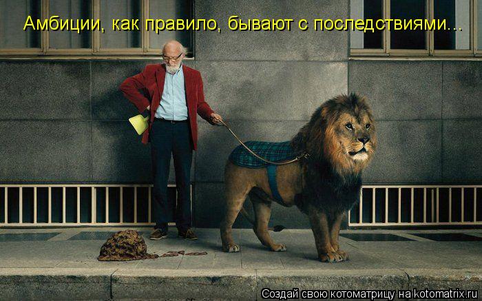 Котоматрица: Амбиции, как правило, бывают с последствиями...