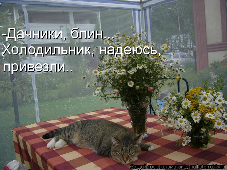 Котоматрица: -Дачники, блин... Холодильник, надеюсь,  привезли..