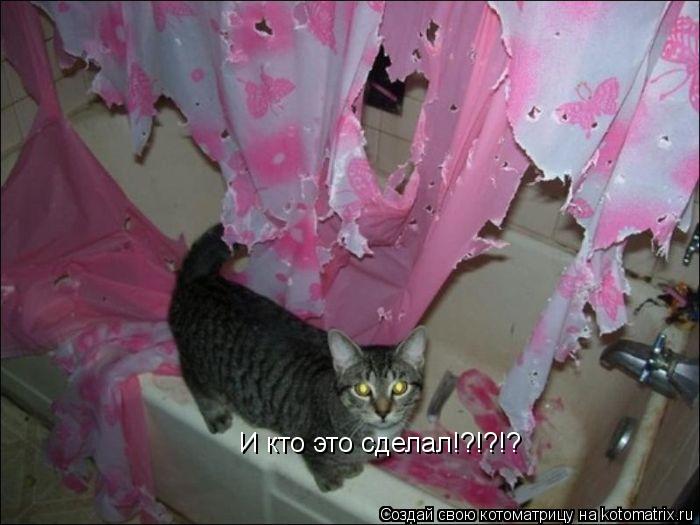 Котоматрица: И кто это сделал!?!?!?