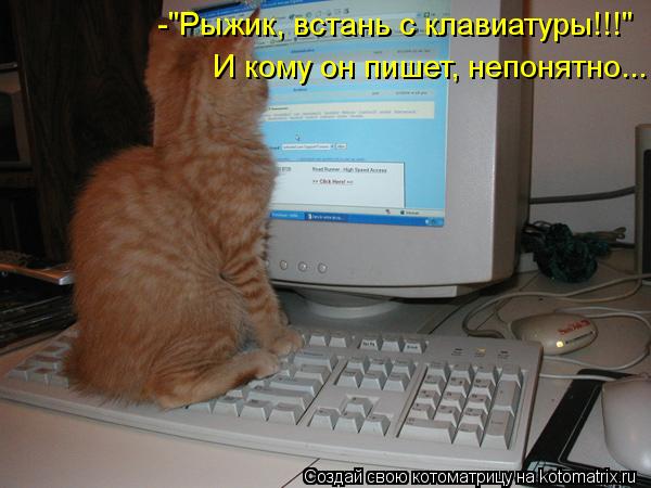 Котоматрица: -"Рыжик, встань с клавиатуры!!!" И кому он пишет, непонятно...