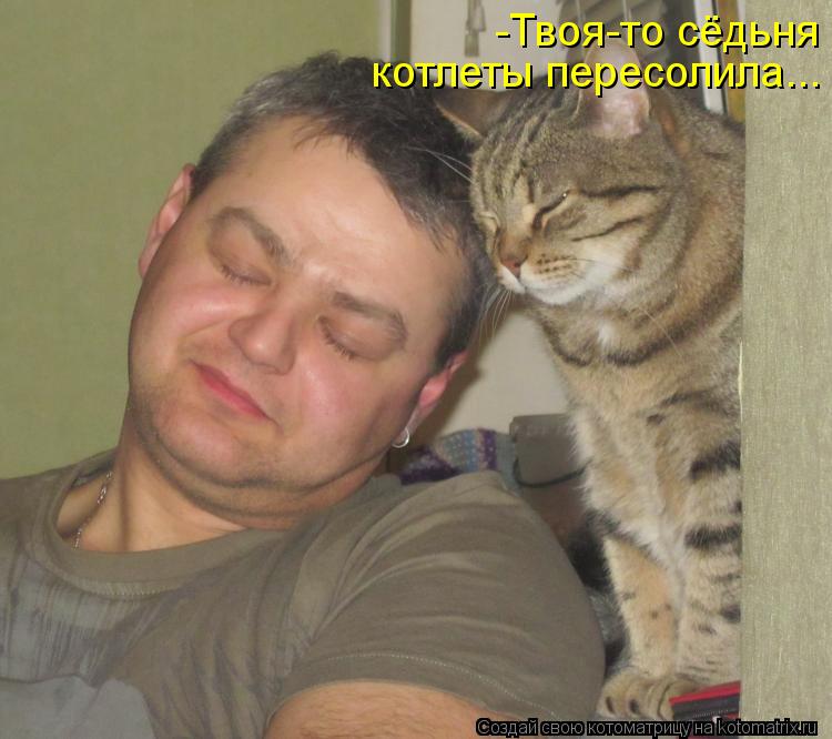 Котоматрица: -Твоя-то сёдьня котлеты пересолила...