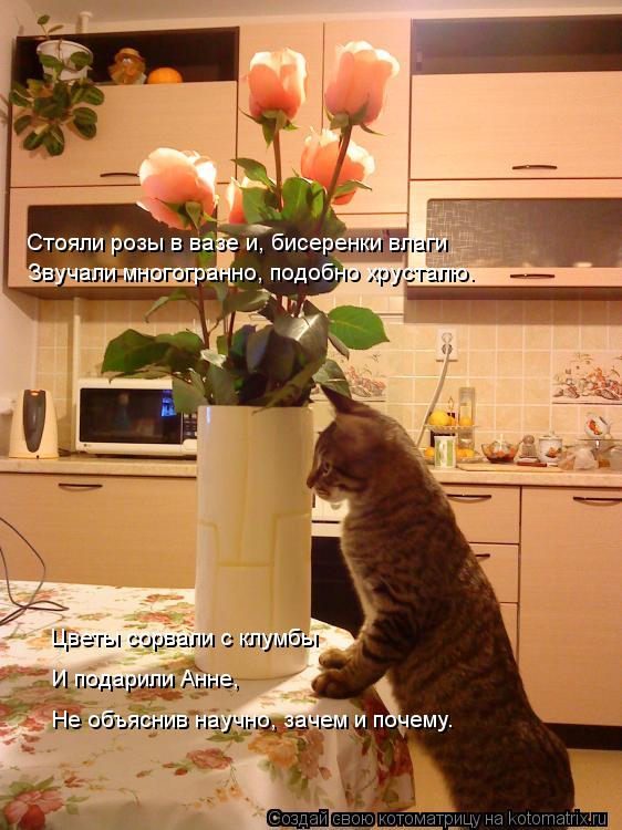 Котоматрица: Стояли розы в вазе и, бисеренки влаги Звучали многогранно, подобно хрусталю. И подарили Анне, Не объяснив научно, зачем и почему. Цветы сорва