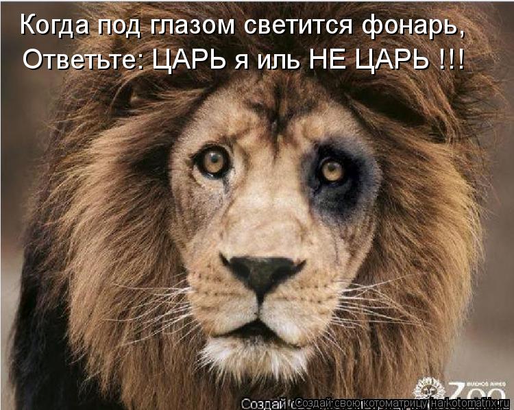 Котоматрица: Когда под глазом светится фонарь, Ответьте: ЦАРЬ я иль НЕ ЦАРЬ !!!