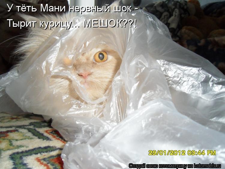 У тёть Мани нервный шок - Тырит курицу... МЕШОК??!... Котоматрица: У тёть Мани нервный шок - Тырит курицу... МЕШОК??!