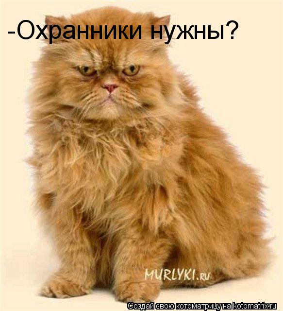 Котоматрица: -Охранники нужны?