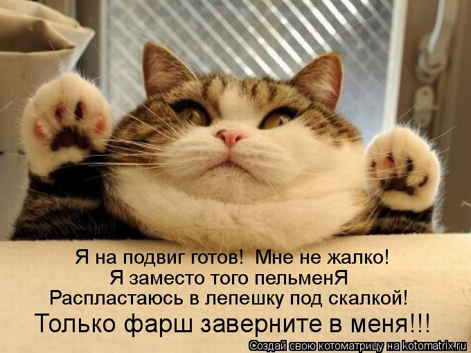Я на подвиг готов! Мне не жалко! Я заместо того пельменЯ Распластаюсь в лепешку под скалкой! Только ... Котоматрица: Я на подвиг готов! Мне не жалко! Я заместо того пельменЯ Распластаюсь в лепешку под скалкой! Только фарш заверните в меня!!!