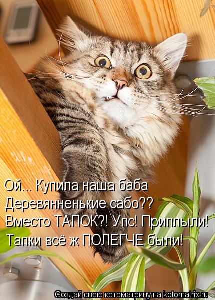 Ой... Купила наша баба Деревянненькие сабо?? Вместо ТАПОК?! Упс! Приплыли! Тапки всё ж ПОЛЕГЧЕ были!... Котоматрица: Ой... Купила наша баба Деревянненькие сабо?? Вместо ТАПОК?! Упс! Приплыли! Тапки всё ж ПОЛЕГЧЕ были!