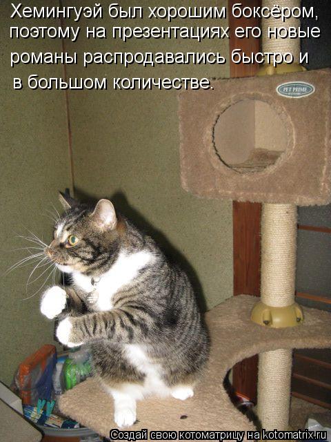 Котоматрица: Хемингуэй был хорошим боксёром, поэтому на презентациях его новые романы распродавались быстро и в большом количестве.