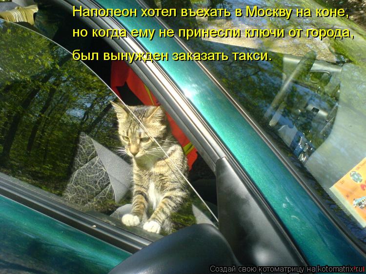 Наполеон хотел въехать в Москву на коне, но когда ему не принесли ключи от города, был вынужден заказ... Котоматрица: Наполеон хотел въехать в Москву на коне, но когда ему не принесли ключи от города, был вынужден заказать такси.
