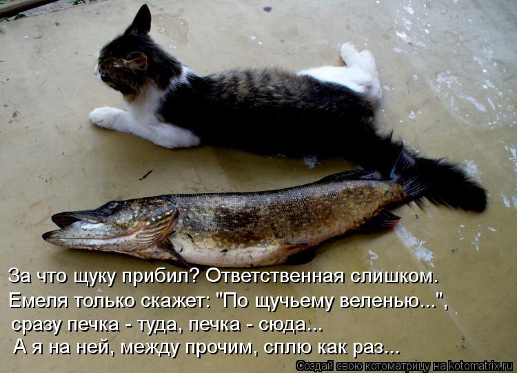 За что щуку прибил? Ответственная слишком. Емеля только скажет: "По щучьему веленью...", сразу печка ... Котоматрица: За что щуку прибил? Ответственная слишком. Емеля только скажет: "По щучьему веленью...", сразу печка - туда, печка - сюда... А я на ней, между проч