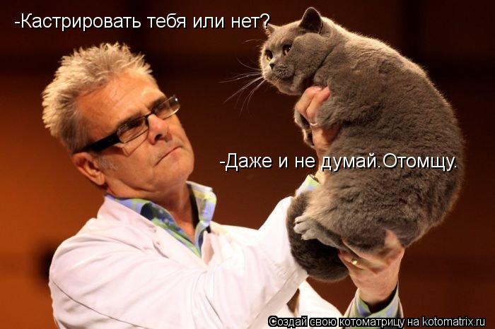 Котоматрица: -Кастрировать тебя или нет? -Даже и не думай.Отомщу.
