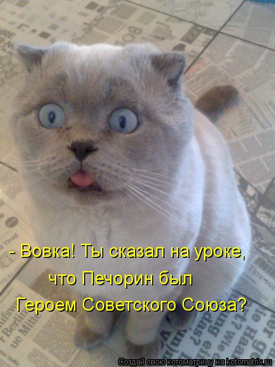 Котоматрица: - Вовка! Ты сказал на уроке, Героем Советского Союза? что Печорин был
