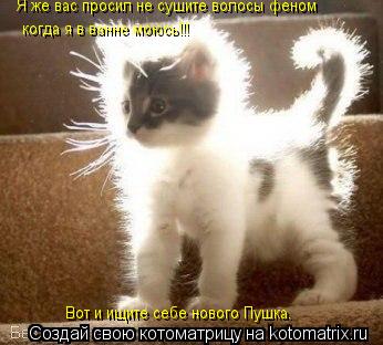 Котоматрица: Я же вас просил не сушите волосы феном   когда я в ванне моюсь!!!  Вот и ищите себе нового Пушка.