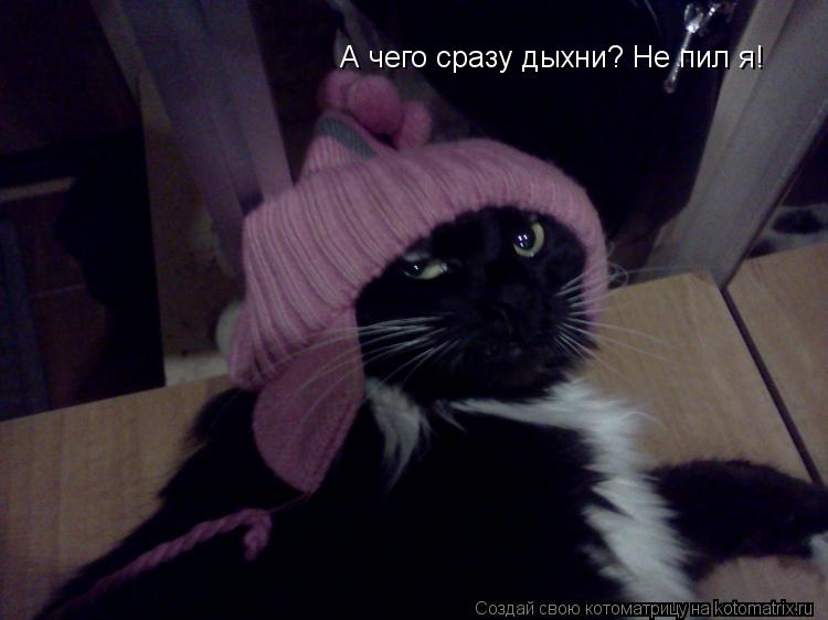 Котоматрица: А чего сразу дыхни? Не пил я!