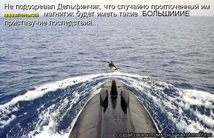 Котоматрица: Не подозревал Дельфинчик, что случайно проглоченный им  маааленький  магнитик будет иметь такие БОЛЬШИИИЕ приставучие последствия...