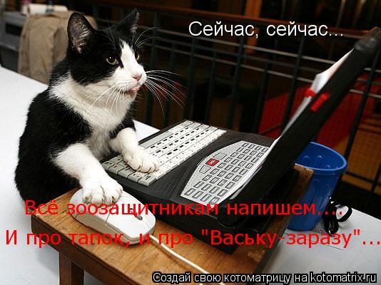 Котоматрица: Сейчас, сейчас... Всё зоозащитникам напишем.... И про тапок, и про "Ваську-заразу"...