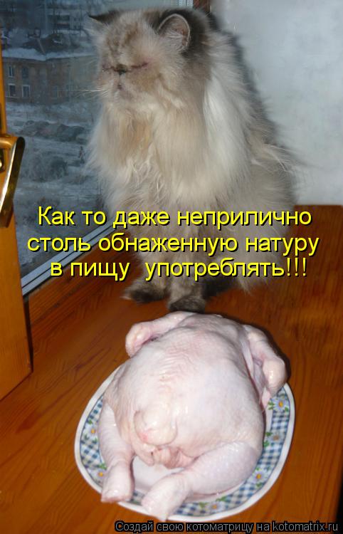 Котоматрица: в пищу  употреблять!!! столь обнаженную натуру Как то даже неприлично