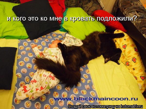 Котоматрица: и кого это ко мне в кровать подложили?
