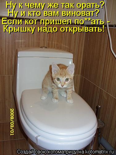 Котоматрица: Ну к чему же так орать? Ну и кто вам виноват? Если кот пришел по**ать - Крышку надо открывать!