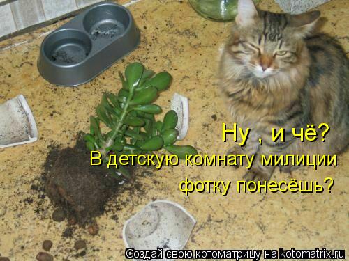 Котоматрица: В детскую комнату милиции фотку понесёшь? Ну , и чё?
