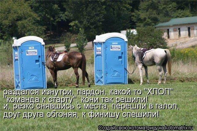 Котоматрица: раздался изнутри, пардон, какой то "ХЛОП" "команда к старту", кони так решили! и, резко снявшись с места, перешли в галоп, друг друга обгоняя, к 