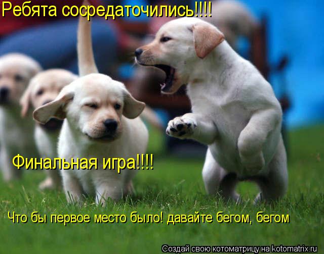 Котоматрица: Ребята сосредаточились!!!! Финальная игра!!!! Что бы первое место было! давайте бегом, бегом