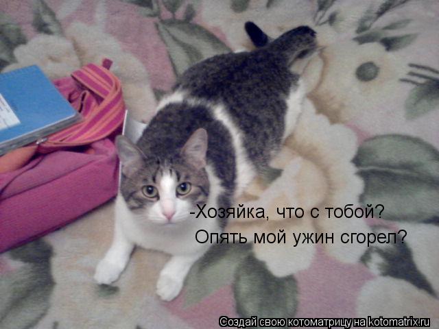 Котоматрица: -Хозяйка, что с тобой? Опять мой ужин сгорел?