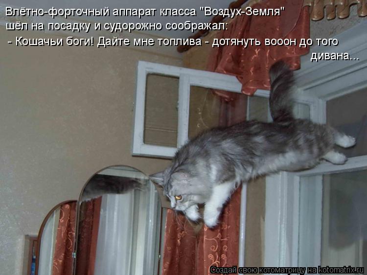 Котоматрица: Влётно-форточный аппарат класса "Воздух-Земля" шёл на посадку и судорожно соображал: - Кошачьи боги! Дайте мне топлива - дотянуть вооон до то