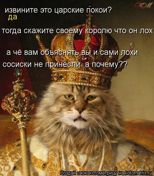 Котоматрица: извините это царские покои? да тогда скажите своему королю что он лох а чё вам объяснять вы и сами лохи сосиски не принесли  а почему??