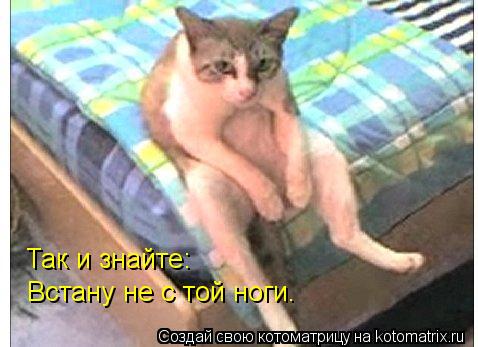 Котоматрица: Так и знайте: Встану не с той ноги.
