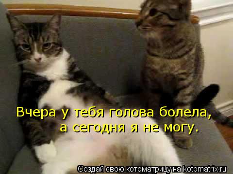Котоматрица: Вчера у тебя голова болела, а сегодня я не могу.