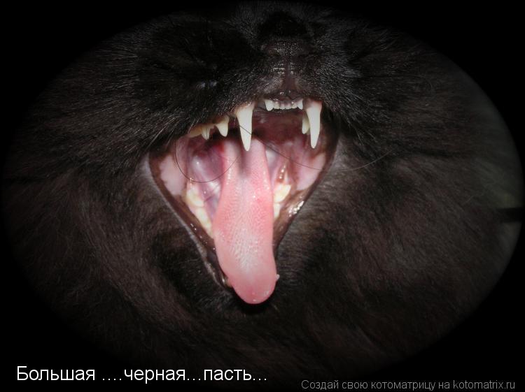 Котоматрица: Большая ....черная...пасть...