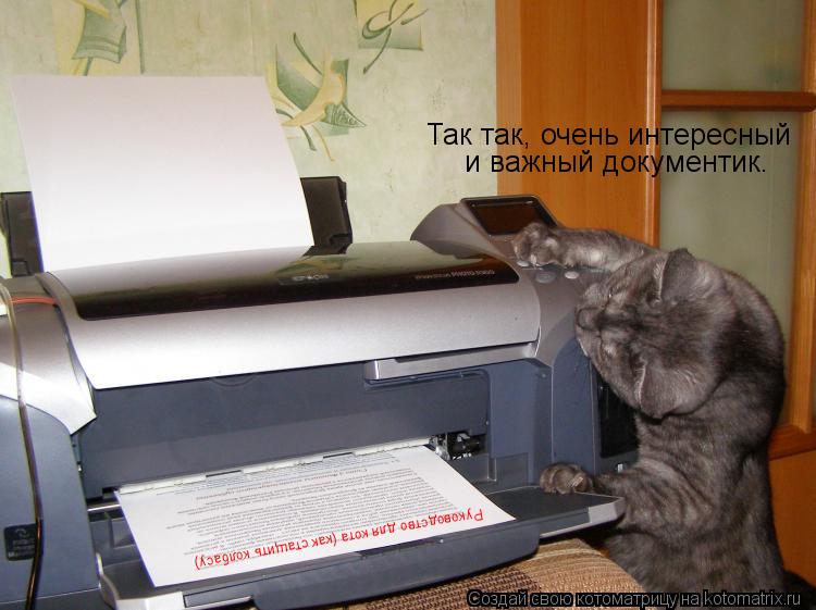 Котоматрица: Так так, очень интересный  и важный документик. Руководство для кота (как стащить колбасу)