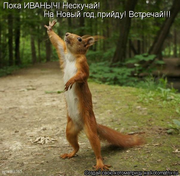 Котоматрица: Пока ИВАНЫЧ! Нескучай!  На Новый год,прийду! Встречай!!!