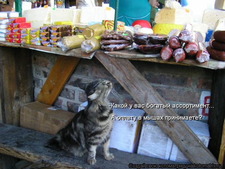 Котоматрица: -Какой у вас богатый ассортимент... А оплату в мышах принимаете?