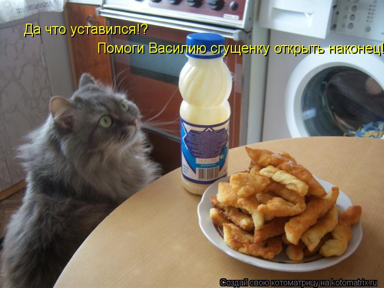 Котоматрица: Да что уставился!? Помоги Василию сгущенку открыть наконец!
