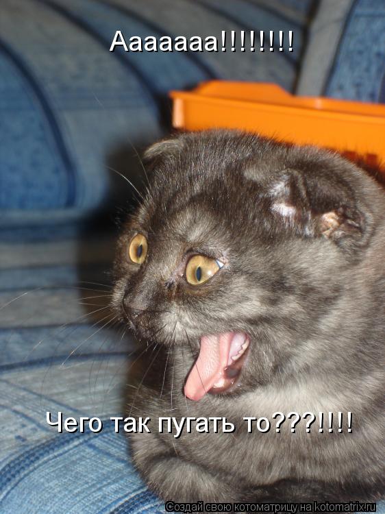 Котоматрица: Ааааааа!!!!!!!! Чего так пугать то???!!!!