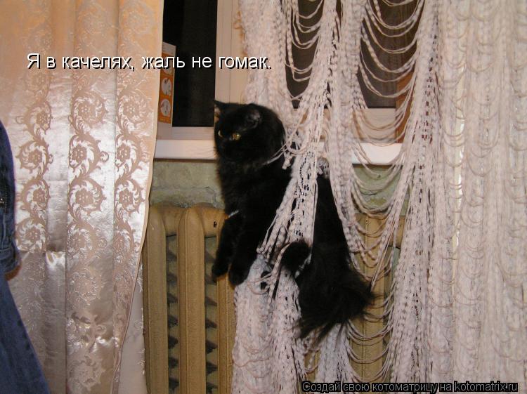 Котоматрица: Я в качелях, жаль не гомак.