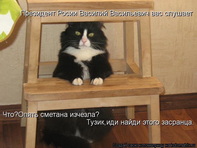 Котоматрица: Президент Росии Василий Васильевич вас слушает Что?Опять сметана изчезла? Тузик,иди найди этого засранца.