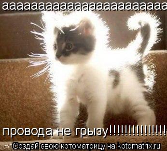 Котоматрица: ааааааааааааааааааааааа провода не грызу!!!!!!!!!!!!!!!!!!!!!!!!!!!!!!