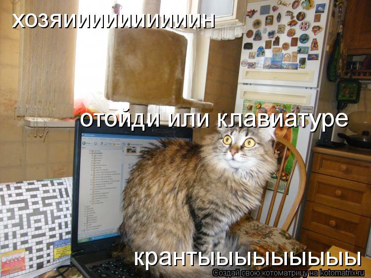 Котоматрица: хозяиииииииииин отойди или клавиатуре крантыыыыыыыыы