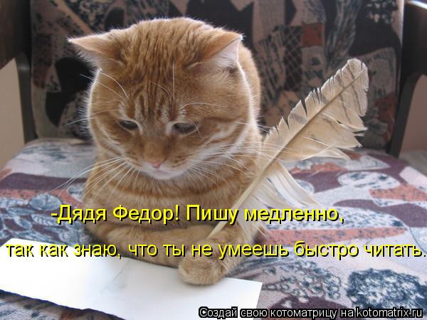 Котоматрица: так как знаю, что ты не умеешь быстро читать. -Дядя Федор! Пишу медленно,