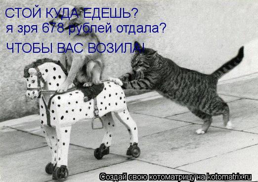 Котоматрица: СТОЙ КУДА ЕДЕШЬ? я зря 678 рублей отдала? ЧТОБЫ ВАС ВОЗИЛА!