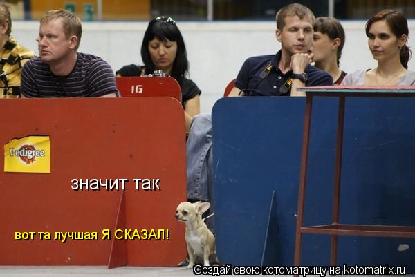 Котоматрица: значит так  вот та лучшая Я СКАЗАЛ!